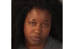 She Stole a Power Tool, Fled with Child in Car