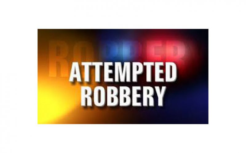 Police Investigating Attempted Strong Arm Robbery in Park