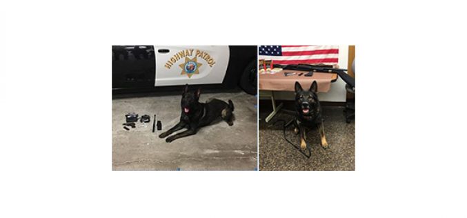 Here are K9 Django and K9 Kai’s recent arrests