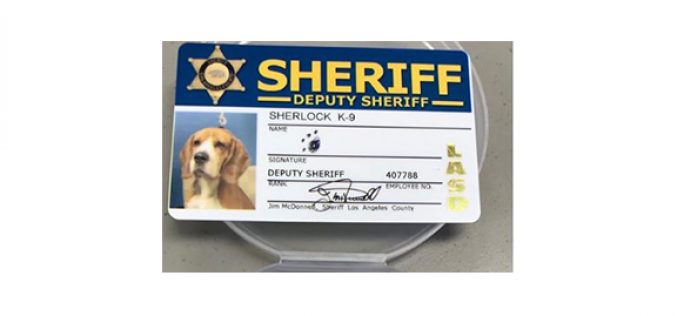 K-9 Sherlock Strikes Twice In One Week  –  Thwarts Jail Drug Smuggling Schemes