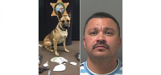 K-9 discovers drugs man tried to hide