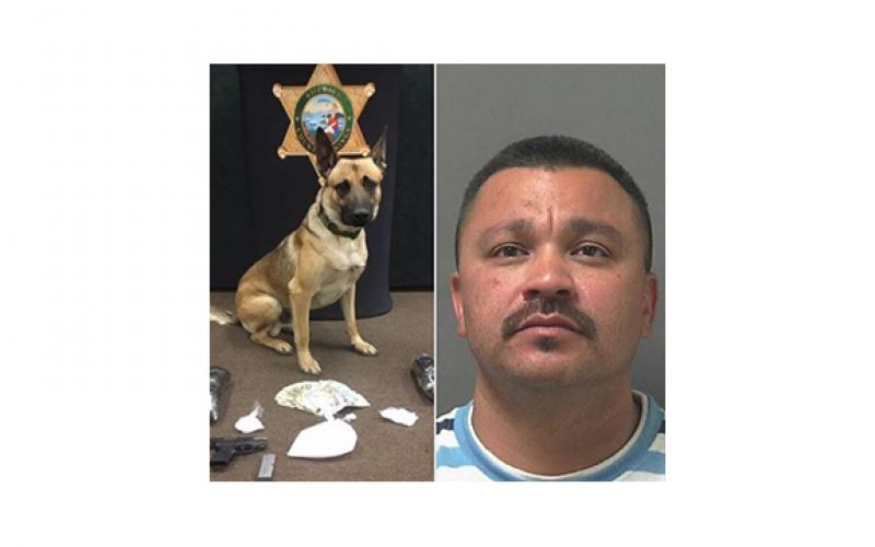 K-9 discovers drugs man tried to hide