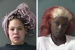 Burglary, Assault on Officer, Pursuit and then 2 Arrests