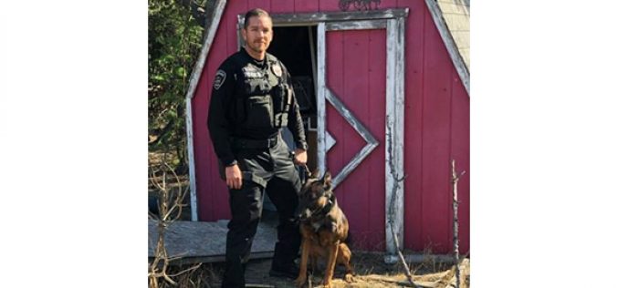 Stolen-Vehicle Suspect Ran, But Could Not Hide From K-9 Ozzy