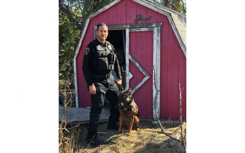 Stolen-Vehicle Suspect Ran, But Could Not Hide From K-9 Ozzy