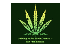 Guilty Verdict for Driving Under the Influence of Marijuana