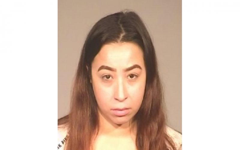 Driver Involved In Hit and Run Turns Herself In the Next Day