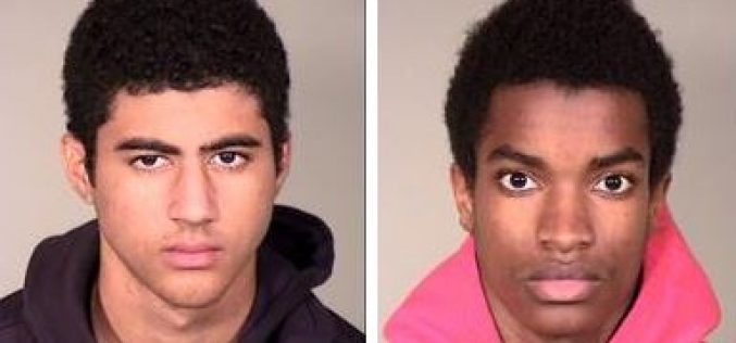 Young Burglars Busted After Ditching Getaway Car