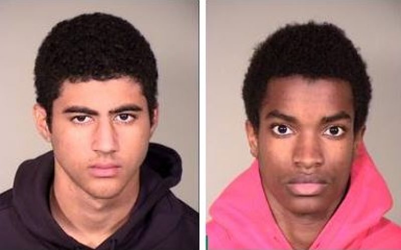 Young Burglars Busted After Ditching Getaway Car