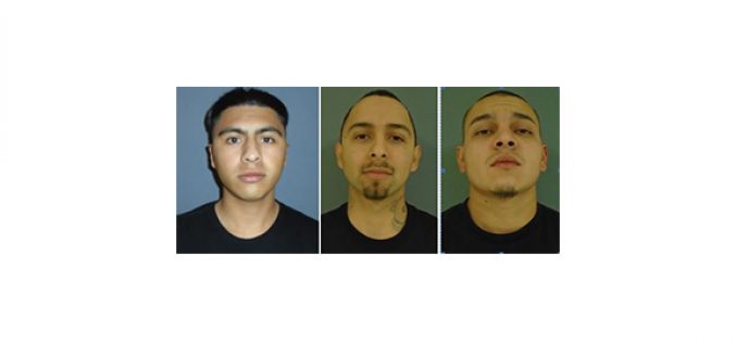 One Loaded Gun in the car, Three Arrests