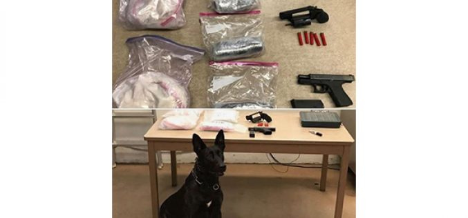 K-9 Ricco Helps Sniff out Heroin and Guns