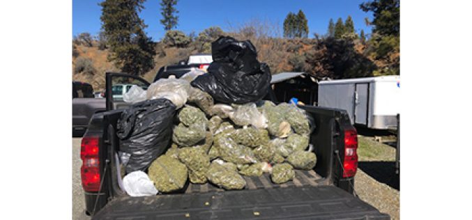 Investigation leads to illegal marijuana grow and production site