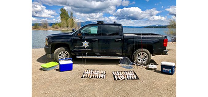 Fleeing Angler Caught with 51 Trout Above Legal Limit