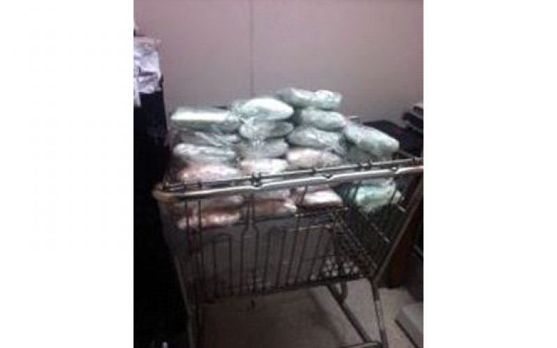 Border Patrol Canine Detection Team Discovers Meth-Smuggling Attempt