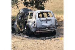 Man detained after body found in burned out vehicle