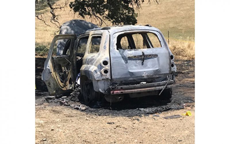 Man detained after body found in burned out vehicle