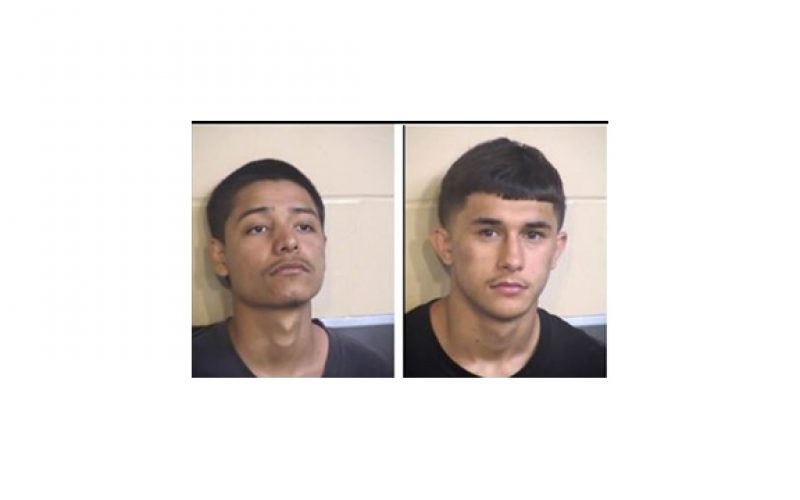 Three Teens Arrested for Avocado Lake Stabbing