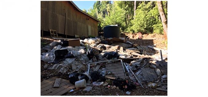 Illegal grow site with numerous HAZMAT violations