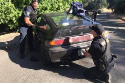 Clearlake Police: Stolen vehicle suspect spray painted car to avoid attention