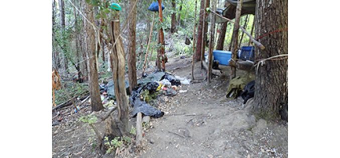 Ecologically Unfriendly Illegal Marijuana Grow Site On Public Lands