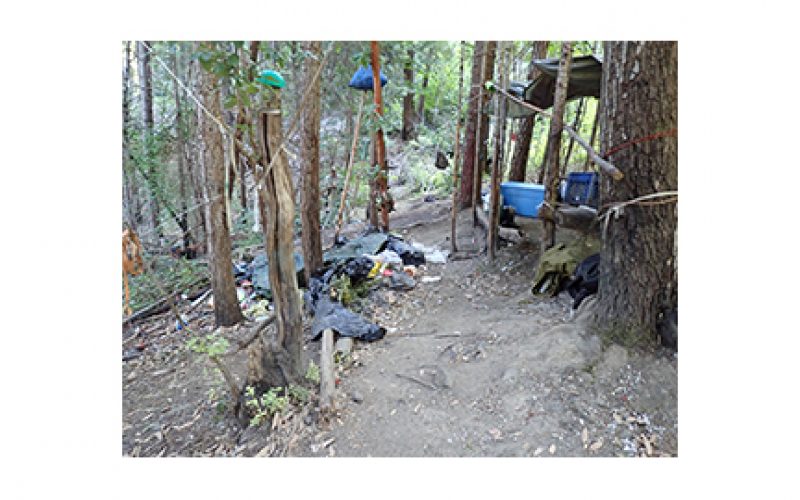 Ecologically Unfriendly Illegal Marijuana Grow Site On Public Lands