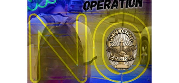 Minor Decoy Operation in Fontana