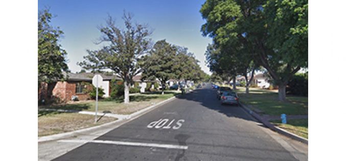 Video surveillance catches homeless woman stealing items from garage