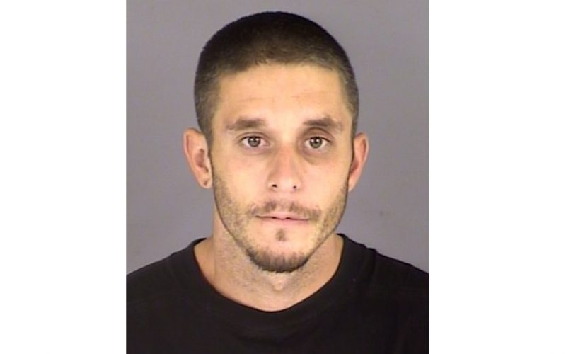 Escalon man faces felony hit-and-run charges after chaotic pursuit