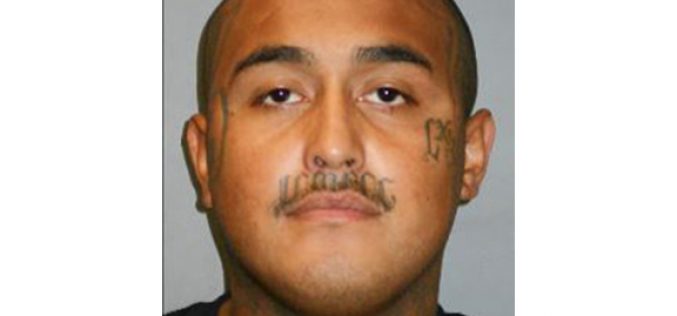 $2 million Bail for Alleged Gangster-Killer