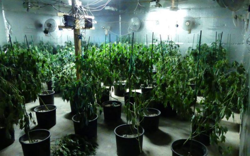 Los Banos Police discover “sophisticated” marijuana grow operation in converted warehouse