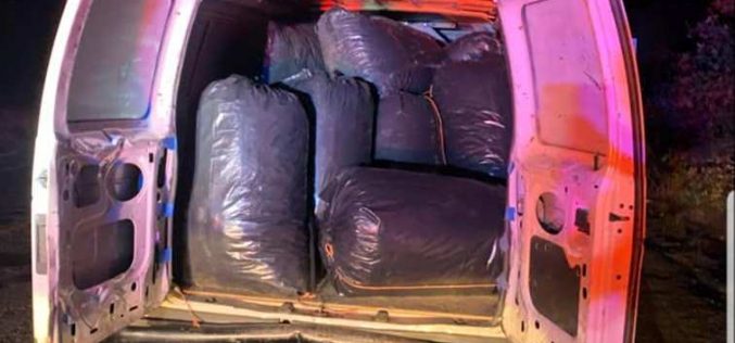 Corning PD confiscates 400 pounds of marijuana