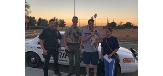 Modesto Police Department helps to rescue lost dog