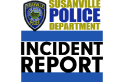 Three recent Susanville crimes result in two arrests