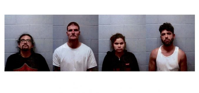 Four arrested on burglary, grand theft charges in Douglas City