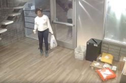 Berkeley Police seek identity of apartment building package thief