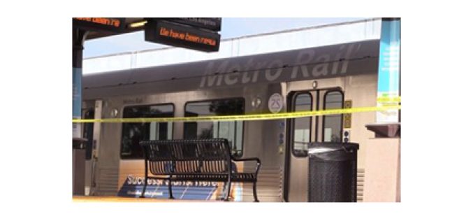 Gold Line Stabbing Murder Suspect Sentenced