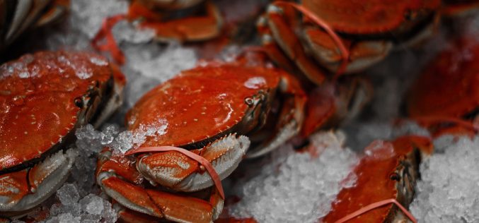 San Joaquin County Sheriff’s Office announces Crab Feed fundraiser