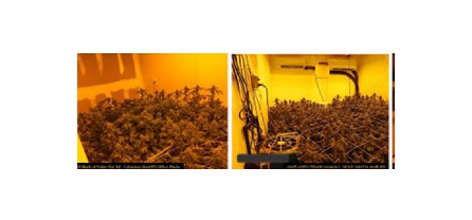 No arrests made in discovery of marijuana grow house