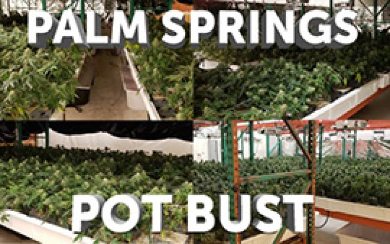 2 New Yorkers Arrested for For Illegal Cannabis Business in Palm Springs