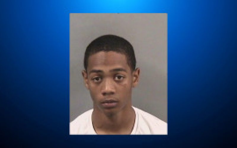 18-Year-Old Man Faces Charges for Attacking 12 Persons with Paintball Gun