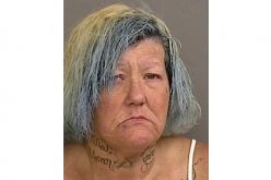 Santa Cruz police issue press release on woman suspected of construction site theft