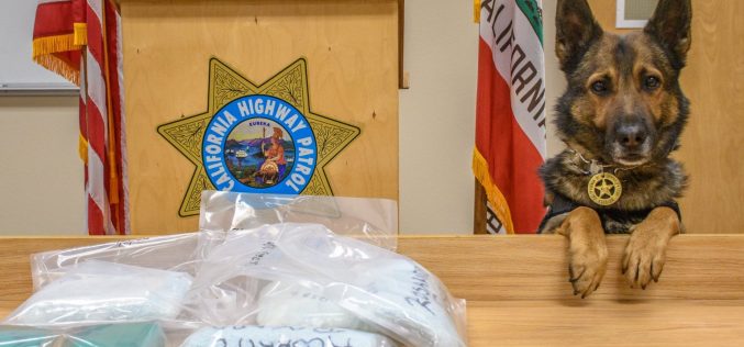 CHP K-9 discovers drugs during enforcement stop; driver arrested