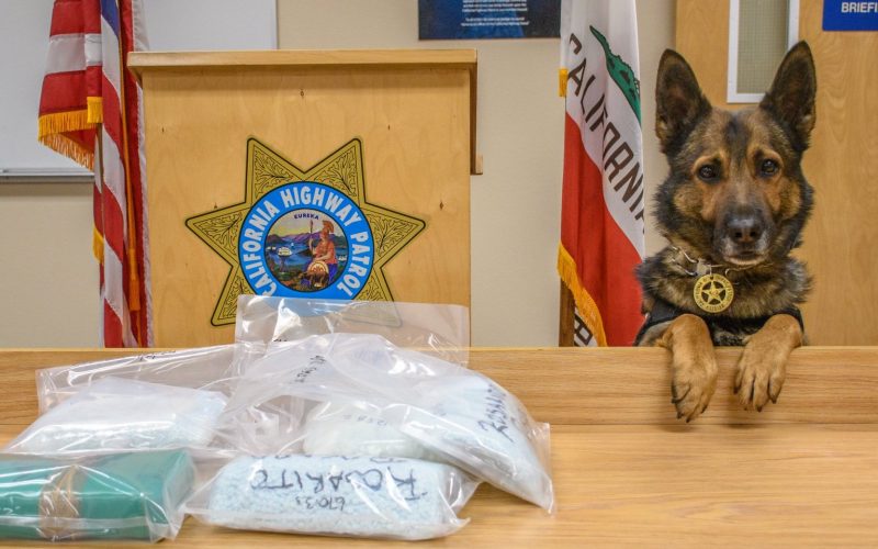 CHP K-9 discovers drugs during enforcement stop; driver arrested