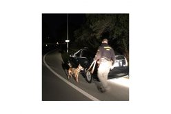 K-9 Yahtzee and deputies catch three suspects with drugs