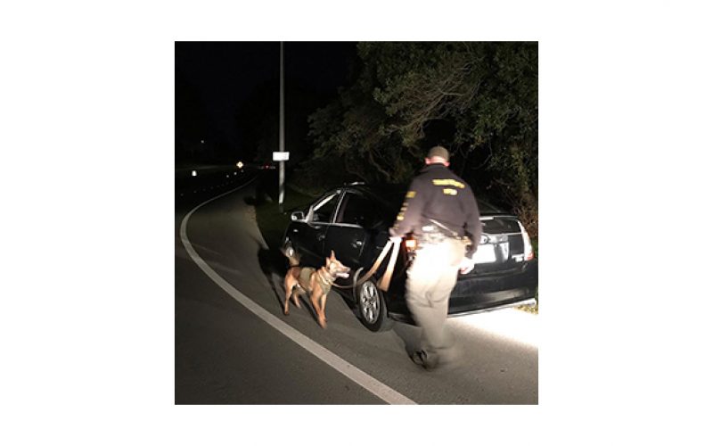 K-9 Yahtzee and deputies catch three suspects with drugs