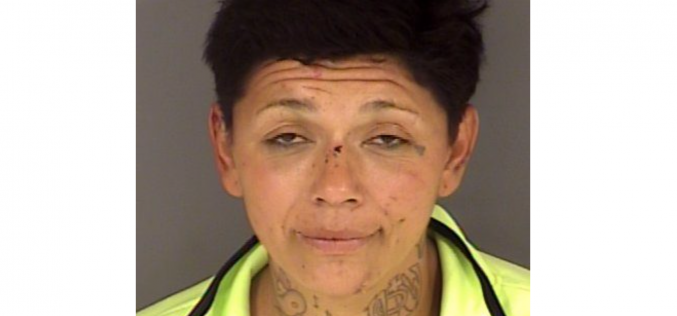 Woman allegedly leads police on 100 MPH+ pursuit, crashes into parked car