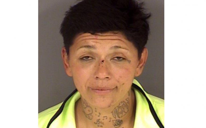 Woman allegedly leads police on 100 MPH+ pursuit, crashes into parked car