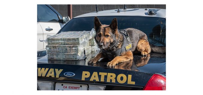 K9 Beny and his handler spot $600,000 in car