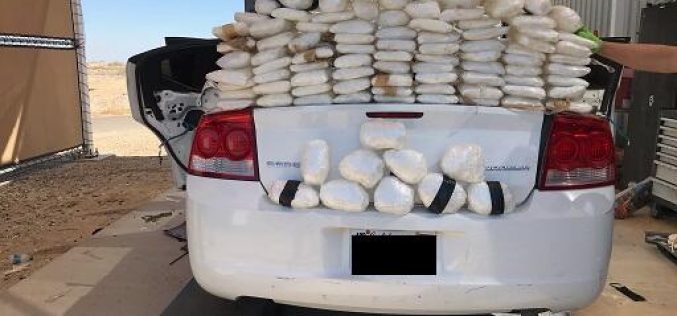 Border Patrol Apprehends Sex Offender and Seizes Drugs in Two Separate Events