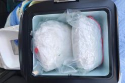 Border Patrol arrests three, seizes bundles of meth